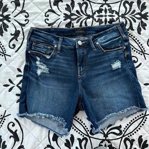 Silver Jeans Co. Silver Suki Plus 5.5” inseam indigo denim shorts Size 12